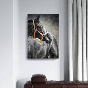 Cuadro Decorativo de Caballo