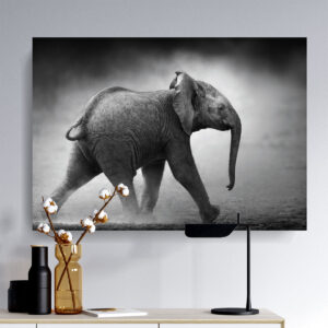 Cuadro Decorativo de Elefante