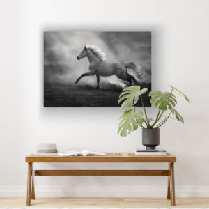 Cuadro de Caballo en Blanco y Negro