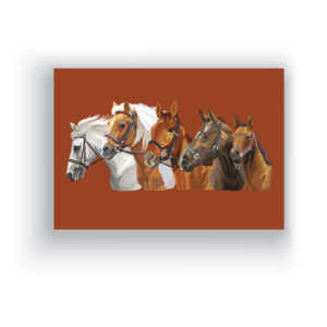 Cuadros de Caballos
