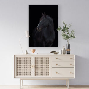 Cuadro de Caballo Negro