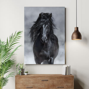 Cuadro de Caballo Negro