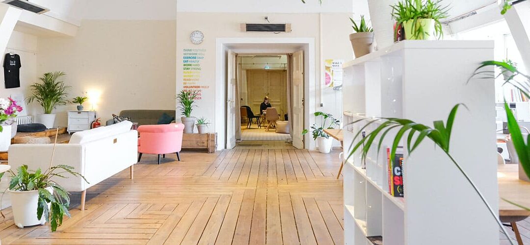 Tendencias decorativas en vinilos adhesivos para el 2024