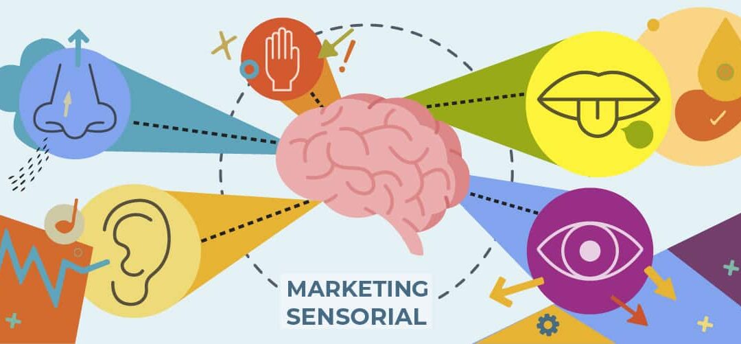 Marketing sensorial: comunicando con todos los sentidos.