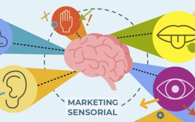 Marketing sensorial: comunicando con todos los sentidos.
