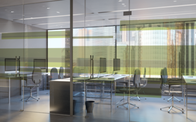 Vinilo Translúcido: ¿Qué es y cómo instalarlo?